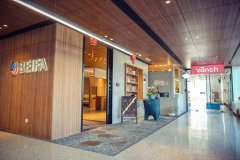 其连续多年获评“中国轻