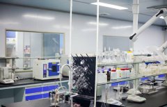 曾助力法素茜年销售额突