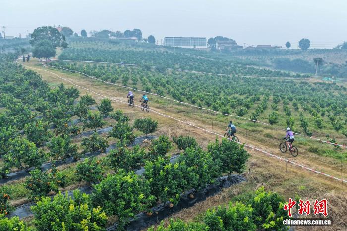 2025湖北当阳凤凰山山地自行车赛开赛 306名选手竞